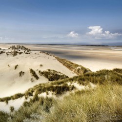 Dunes de la baie de Somme 2