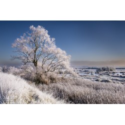 La baie de Somme givrée