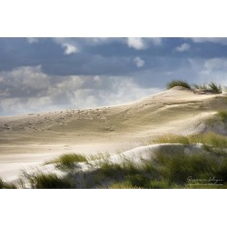 Dunes de la Baie de Somme