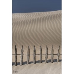 La dune et les ganivelles...